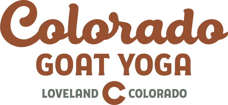 Colorado Goat Yoga