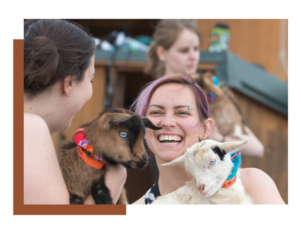 HOME Colorado Goat Yoga
